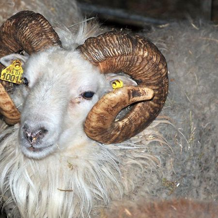 הוילה Evry  La Ferme De Flo' מראה חיצוני תמונה