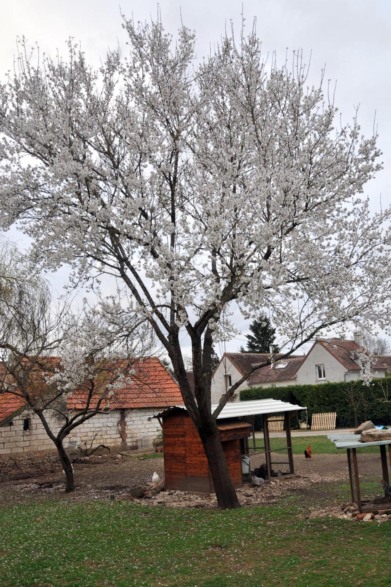 הוילה Evry  La Ferme De Flo' מראה חיצוני תמונה